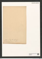 Diatomeae indet. Zeichnungen Sammlung Grunow (NHMW-BOT-W0376970)